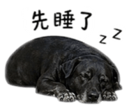 843556741