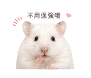 843556771