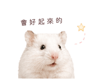843556773