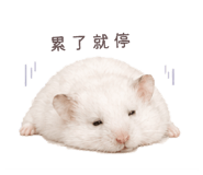 843556775