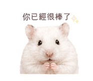 843556778