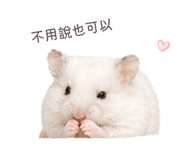 843556781