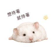 843556782