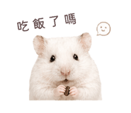 843556786