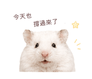 843556789