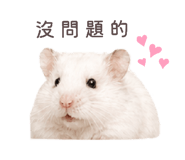 843556790