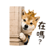 843556834