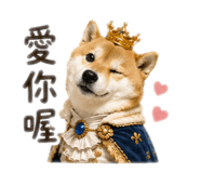 843556837