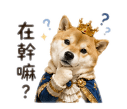 843556838