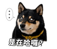 843557018