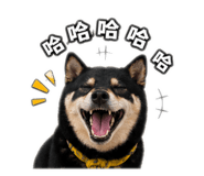 843557020