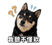 843557023