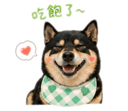 843557031