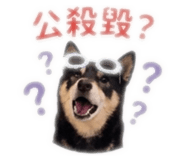 843557042