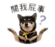843557050