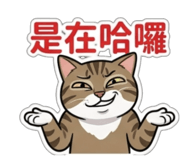 843557377