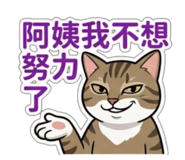 843557378
