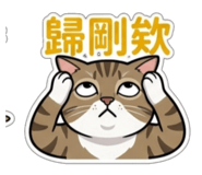 843557379