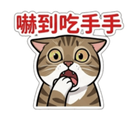 843557381