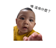 843558509