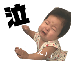 84355892