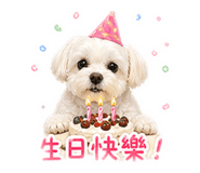 843558935