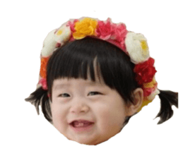 84355900
