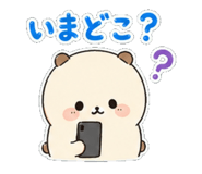 843560022