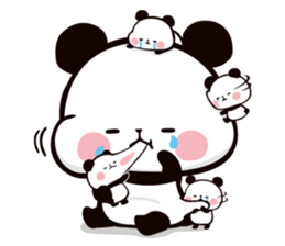 8435604