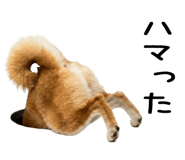 843561137