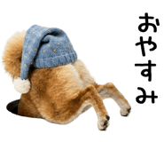 843561142