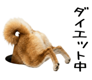 843561164