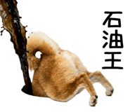 843561168