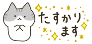 843561550