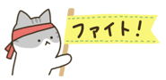 843561553