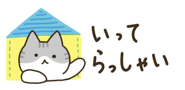 843561554