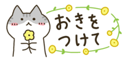 843561555