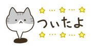 843561558