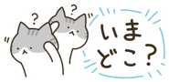 843561559
