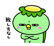 843561952