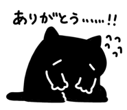 843562036