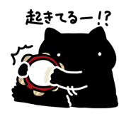 843562053