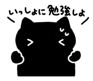 843562061