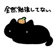 843562062