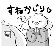 843562571