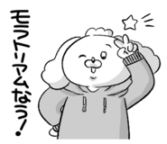 843562578