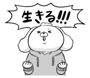 843562589