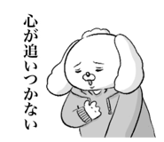 843562592
