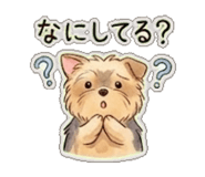 843562626