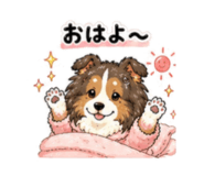 843562634